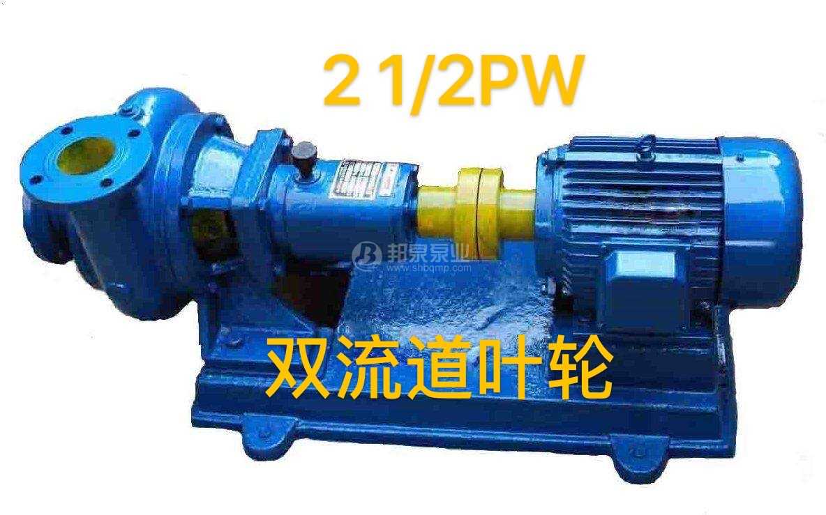 PW污水泵,2.5PW臥式離心污水泵,2&frac12;PW雜質(zhì)泵,PW污泥泵,PW泥漿泵